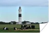 MuchoWow® Poster Kühe - Leuchtturm - Gras 30x20 cm - Produktbild-Vorschau 1