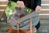 MuchoWow® Laptop Hülle 17 Zoll Laptoptasche Koala - Porträt Produktbild-Vorschau 7