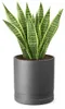 Deco4Home Koma Blumentopf Anthrazit 38cm | Pflanzkübel Produktbild-Vorschau 18