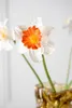 Silk-ka Seidenblume Narzisse Osterglocke Weiß Orange (58cm) Produktbild-Vorschau 3
