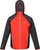 Regatta Hybrid Softshelljacke Herren Andreson VI, Produktbild-Vorschau 8