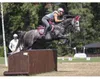 Equine Fusion Scarpa per zoccoli Active Jogging Shoe Nero Anteprima dell’immagine prodotto 4