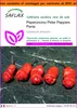 SAFLAX Garden in the bag - Peperoncino Peter Peppers Penis Anteprima dell’immagine prodotto 1