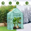 TolleTour Foliengewächshaus Tomatengewächshaus 143x73x195 Produktbild-Vorschau 4