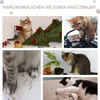 PawHut – mačací domček s škrabadlom, mačacie lôžko, mačací Náhľad obrázku produktu 6