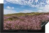 KitchenYeah© Herdabdeckplatte Düne - Blume - Watteninseln , Produktbild-Vorschau 1
