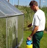 A man sprays a greenhouse with a cleaning solution. Produktbild-Vorschau