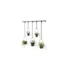 A set of five hanging planters with plants, mounted on a black rod against a white background. Produktbild-Vorschau