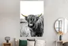 MuchoWow® Poster Schottisches Hochlandrind - Gras - Gold Produktbild-Vorschau 4