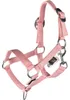 HKM Kids Halfter und Strick Hobby Horsing Basic Rosa Anteprima dell’immagine prodotto 3