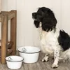 Futternapf Hundefutterschale Fressnapf 1,2l weiß Emaille D. Produktbild-Vorschau 3