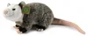 Plüsch Opossum 27 cm ECO-FRIENDLY Produktbild-Vorschau 1