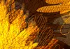 Akusticher Raumteiler sonnenblumen Foto Paravent 225x172 cm Produktbild-Vorschau 6