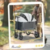 PawHut Hundewagen Hundebuggy klappbar für Hunde & Katzen Produktbild-Vorschau 3
