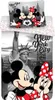 Pościel zawiera Mickey i Minnie w New York 02 micro Podgląd zdjęcia produktu 1