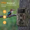 Wildkamera 32MP 1296P Video Wildtierkamera mit Klarer 30m Produktbild-Vorschau 4