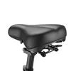 E-Bike FAFREES F20+ - Motore 250W Batteria 36V20Ah Anteprima dell’immagine prodotto 14