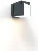 Lampada da parete per esterni CUBA antracite Lutec Anteprima dell’immagine prodotto 1