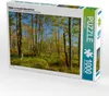 CALVENDO Puzzle Wälder im Acadia National Park | 1000 Teile Produktbild-Vorschau 1