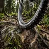 Schwalbe Nobby Nic 29/28" (622 mm) Black/Blue 2.4 Tubeless Podgląd zdjęcia produktu 2