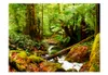 Basera Fototapete Waldmotiv 100403-111, Vliestapete, Produktbild-Vorschau 2