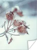 MuchoWow® Poster Pflanzen - Winter - Schnee - Natur 120x160 Produktbild-Vorschau 1