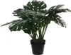 Mica Decorations Plante artificielle Monstera - 80x80x60 cm Voir les images du produit 1