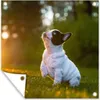 MuchoWow® Produktbild-Vorschau 1