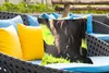 MuchoWow® Outdoor Kissen - Schottisches Hochlandrind - Produktbild-Vorschau 4