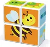 Geomag Magicube insects, magnetické kostky s potiskem, 4 Náhled obrázku produktu 9