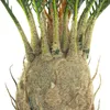 Palmier Palma cycas Plante Artificielle Artificiel 80 cm Anteprima dell’immagine prodotto 3