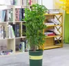 Kruhová podpěra rostlin 60cm 3 kruhy Náhled obrázku produktu 3