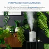 LEVOIT Luftbefeuchter Kinderzimmer Top Fill 3L25H mit Licht Produktbild-Vorschau 11