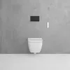 Geberit 115.622.14.1, Splachovací deska, Černá, Geberit, Náhled obrázku produktu 9