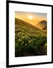 MuchoWow® Gerahmtes Poster Blumen - Sonne - Berge 60x80 cm Produktbild-Vorschau 1