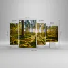 Bild auf Leinwand - Leinwandbild - Wald Baum Natur - Produktbild-Vorschau 3