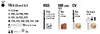 kwb 109104 Bit set 41-piece Voir les images du produit 3