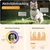 A collage of images showing a cat wearing a GPS tracker and app interface graphics displaying activity tracking data. Produktbild-Vorschau