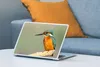 MuchoWow® Laptop Aufkleber Sticker Cover Vogel - Eisvogel - Produktbild-Vorschau 4