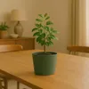 Prosperplast s.r.o. Vaso da fiori TUBO 19,9 cm, verde Anteprima dell’immagine prodotto 4