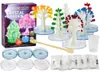 Kit pédagogique créatif pour la culture d'arbres en cristal Voir les images du produit 1