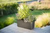 Plastia Pflanzkübel Berberis DUO brau, A33614 Produktbild-Vorschau 17