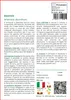 SAFLAX  - Assenzio - 500 semi - Artemisia Anteprima dell’immagine prodotto 3