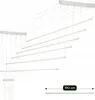 A white ceiling-mounted clothes drying rack with multiple lines. Anteprima dell’immagine prodotto