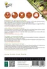 Buzzy Patio Veggies Romana-Salat Rot und Grün Samen - Ca. Produktbild-Vorschau 4
