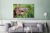 OneMillionCanvasses® - Leinwandbilder - 140x90 cm, Affe - Produktbild-Vorschau 2