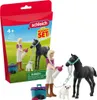 A Schleich Horse Club playset featuring a girl, a foal, and a dog, along with accessories, presented in its packaging. Anteprima dell’immagine prodotto