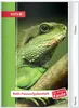 ROTH 89508 ROTH Libro dei compiti Animali per pigri Anteprima dell’immagine prodotto 1