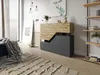 A modern living room with a sideboard, rug, and artwork. Produktbild-Vorschau