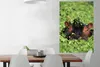 MuchoWow® Poster Nilpferd - Wasser - Pflanzen 80x120 cm - Produktbild-Vorschau 3